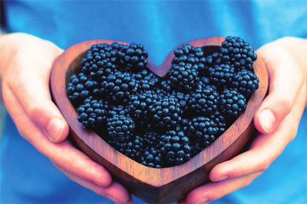 桑葚怎么吃壮阳,桑葚跟什么一起吃补肾壮阳