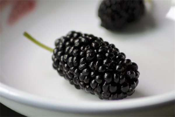 坐月子能吃桑葚吗,月子能吃桑葚吗