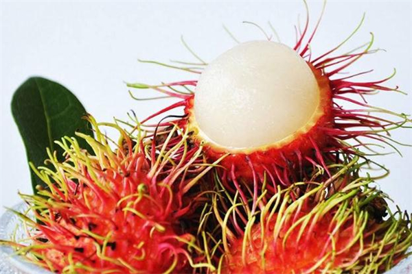 哺乳期能吃红毛丹吗,母乳期可以吃红毛丹吗