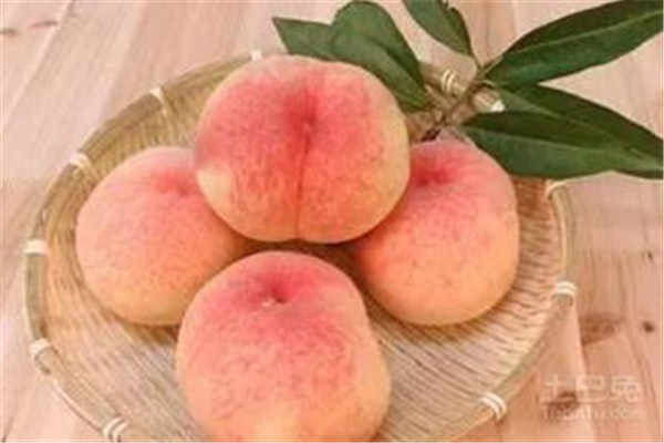 怎样挑选桃子,怎样挑选桃子又甜又好吃