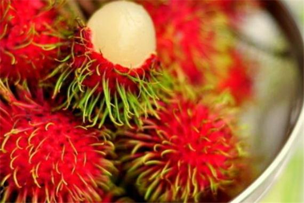 吃红毛丹过敏的症状,红毛丹过敏怎么办 吃红毛丹过敏的症状,红毛丹过敏怎么办