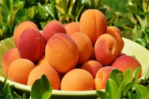 桃子的保存方法,桃子的保鲜和储藏方法