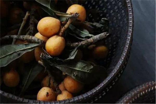 鲜枇杷叶煮水的副作用,枇杷叶煮水喝有副作用吗