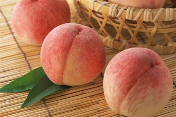 毛桃什么时候吃最好,毛桃什么时候吃最好吃