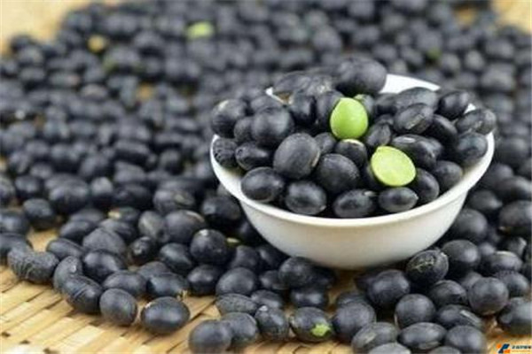 醋泡黑豆什么时候吃最好吃多少颗,用什么醋泡黑豆效果最好