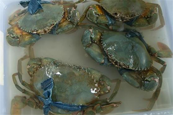 青蟹什么时候膏最多,青蟹几月份有红膏