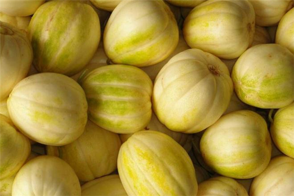 香瓜什么时候上市,香瓜什么时候成熟