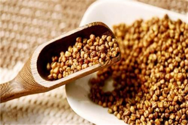 苦荞菊花枸杞茶的功效,苦荞茶枸杞子菊花茶的功效