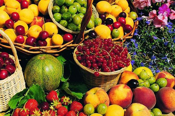 五月吃什么水果的季节,五月吃什么水果