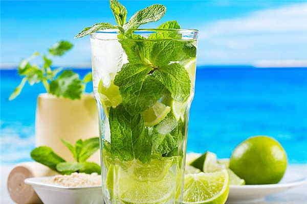 薄荷茶怎么喝减肥最快,薄荷茶能减肥吗