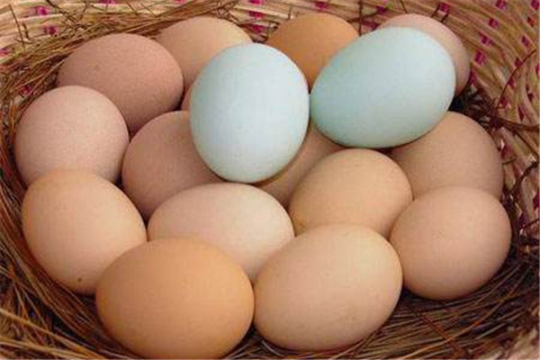 土鸡蛋是什么意思,土鸡蛋是什么颜色