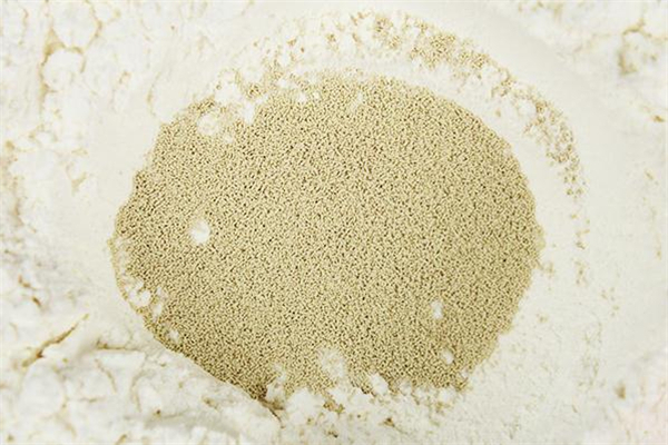 酵母粉和泡打粉哪个好,泡打粉和酵母粉哪个更好