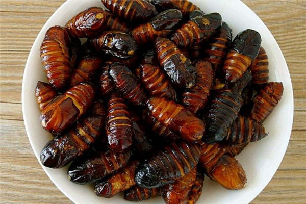 蚕蛹热量是多少,蚕蛹的热量