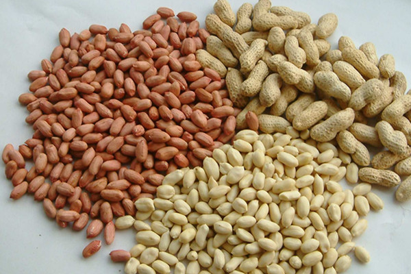 秋冬除湿吃什么食物最好,除湿吃什么最好