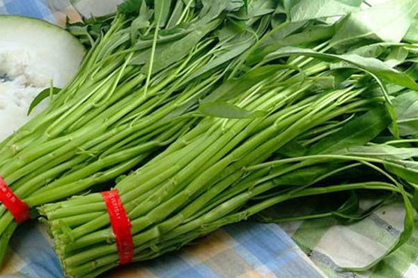 空心菜怎么保鲜才能保的久一点,空心菜怎么保鲜