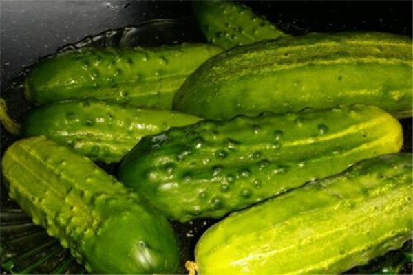 黄瓜的功效和作用减肥,黄瓜的功效和作用禁忌 黄瓜的功效和作用减肥,黄瓜的功效和作用禁忌