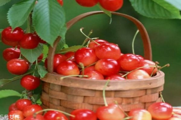 孕妇多吃樱桃的好处,孕妇吃大樱桃有什么好处 孕妇多吃樱桃的好处,孕妇吃大樱桃有什么好处