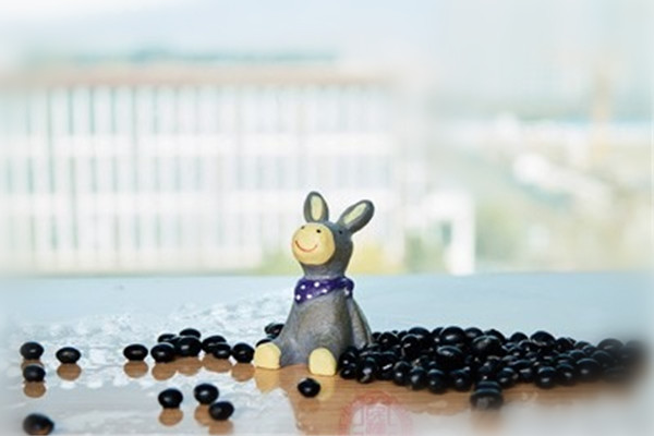 盐水黑豆做法窍门,盐水黑豆做法