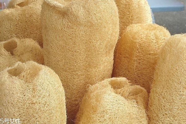 干丝瓜的功效和作用 干丝瓜煮水的功效,干丝瓜煮水的功效和作用