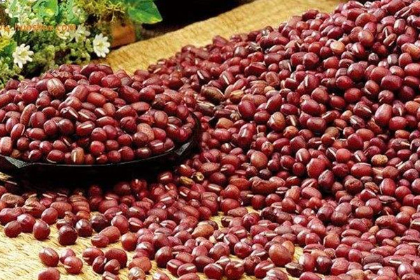 红豆的正确煮法,红豆要怎么煮