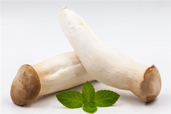 鸡腿菇凉拌的做法大全,鸡腿菇凉拌的做法窍门窍门