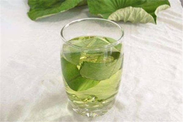 荷叶决明子茶的功效和作用,决明子和荷叶一起喝有什么功效