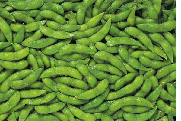 毛豆不能和什么一起吃同吃食物相克大全,毛豆不能和什么一起吃