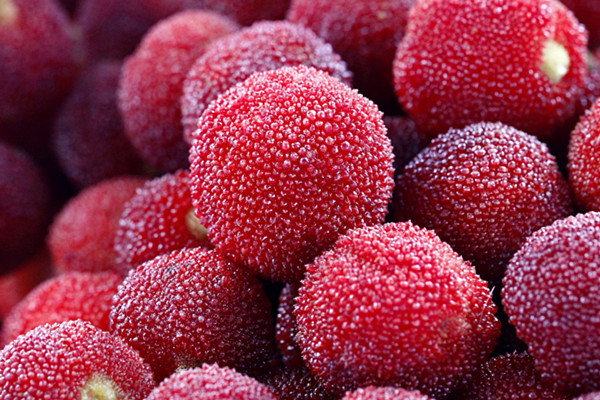 杨梅的功效和作用,杨梅的功效和作用有哪些,你都知道吗?