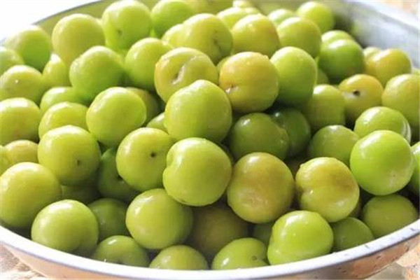 李子不能和什么一起吃相克,李子不能和什么一起吃 李子不能和什么一起吃相克,李子不能和什么一起吃