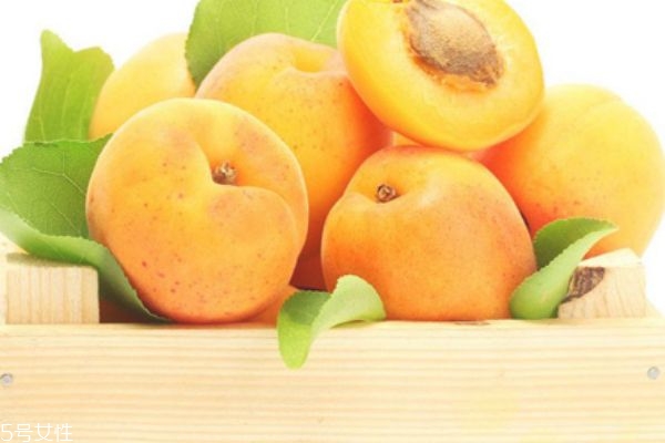 杏干可以降血压吗,杏干降血压吗