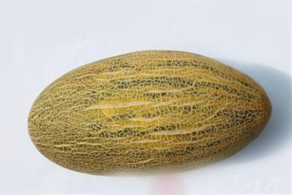 哈密瓜的营养价值和功效和作用,哈密瓜的营养价值有哪些