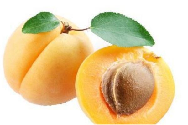 青梅的营养价值及功效,青梅的营养价值