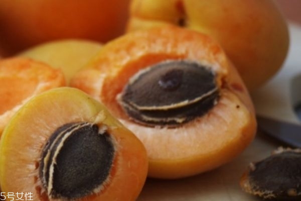 杏子的营养价值和功效和作用,杏子的营养成分及功效