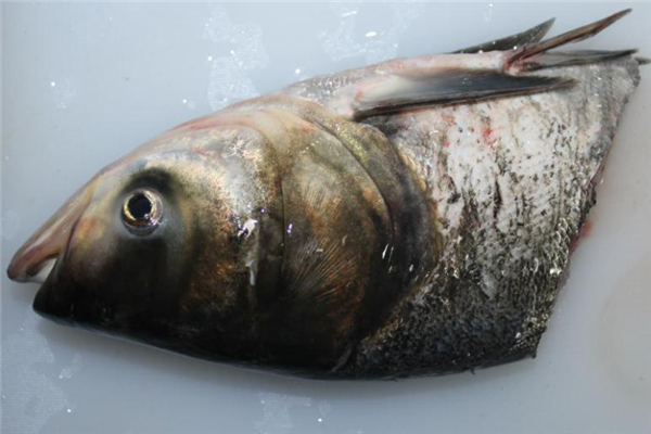 鳙鱼汤的做法大全,鳙鱼煲汤做法