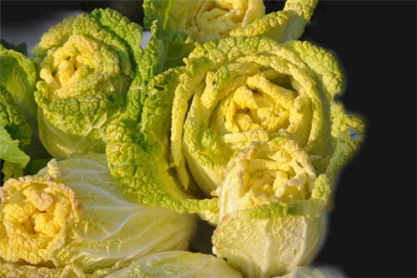 黄芽菜的做法,黄芽菜怎么做好吃