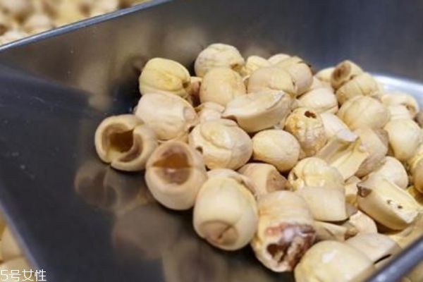 莲子心的功效和作用的功能和主治,莲子心的功效和作用