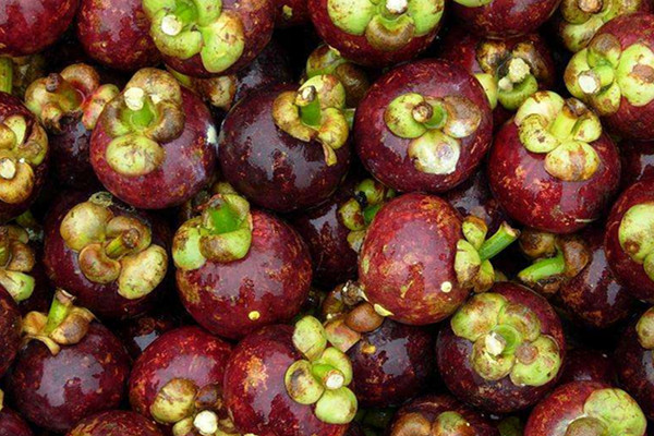 什么人不能吃山竹,什么人不能吃山竹 不宜吃山竹的6类人群