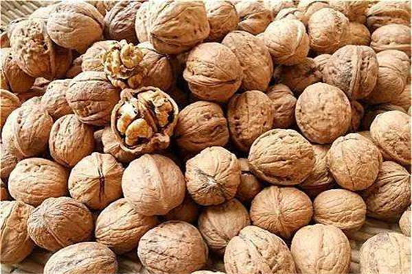 核桃的营养价值及功效和作用,核桃的营养价值表