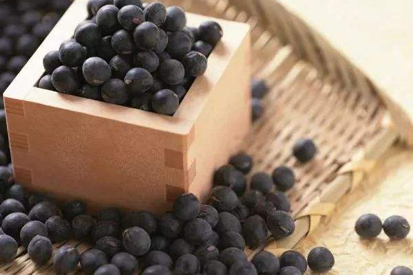 黑豆的功效和作用,黑豆的功效和作用及营养价值