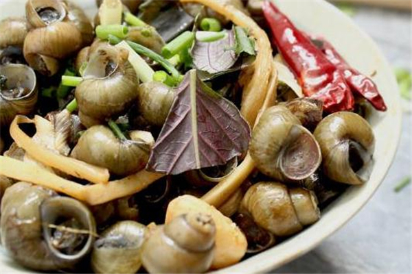 如何清洗石螺,石螺怎样清洗干净