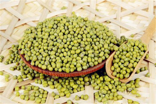 绿豆不能同什么食物一起吃,绿豆不能跟什么一起吃