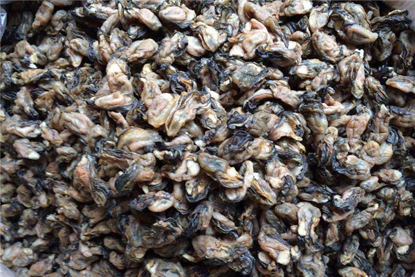 海蛎干怎么做,海蛎干的吃法及做法