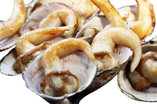 鸟贝是什么样的,鸟贝学名叫什么