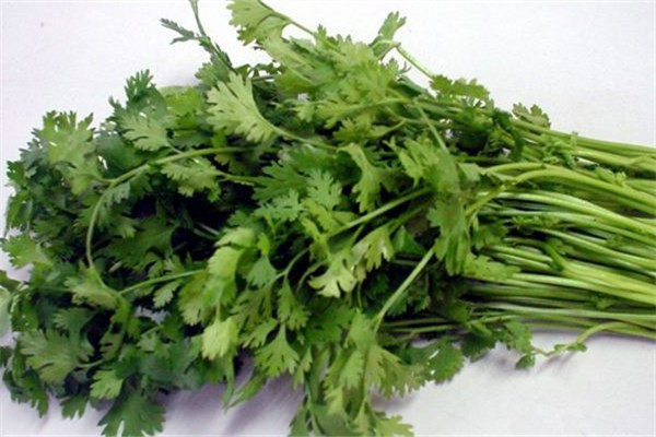 冬天怎么保存香菜,冬天怎么保存香菜好