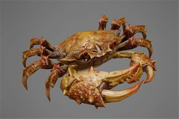 螃蟹不能和什么一起吃食物相克,螃蟹不能和什么一起吃的水果