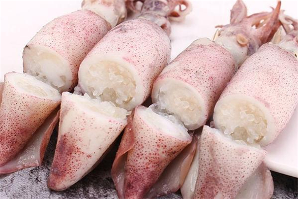 海兔子是墨鱼吗,墨鱼和海兔子的区别