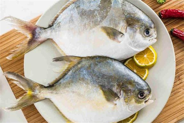 孕妇吃金鲳鱼有什么好处,孕妇吃金鲳鱼好吗