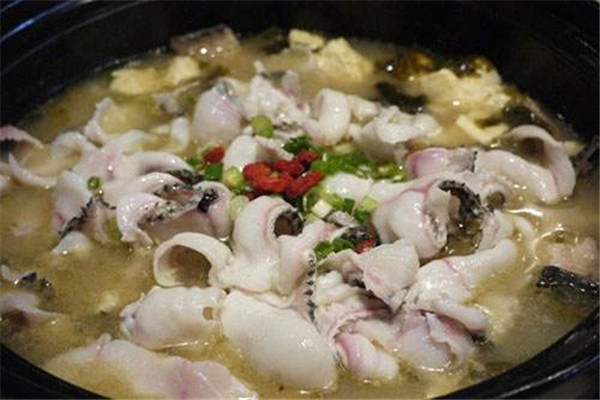 常吃黑鱼的好处,多吃黑鱼的好处和坏处