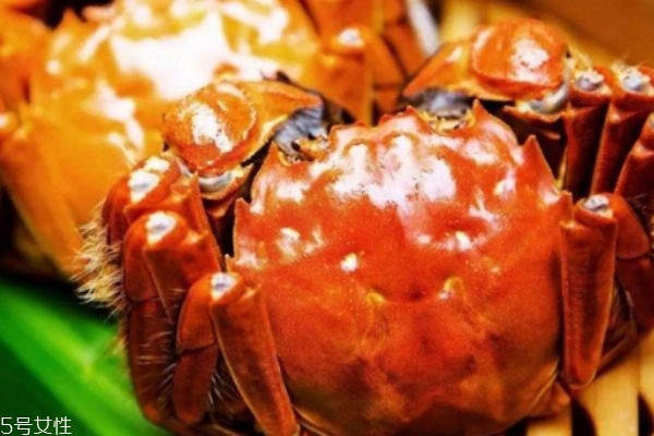 阳澄湖大闸蟹几月份上市,阳澄湖大闸蟹几月份上市最好