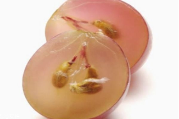 提子和葡萄的关系,葡萄和提子的区别